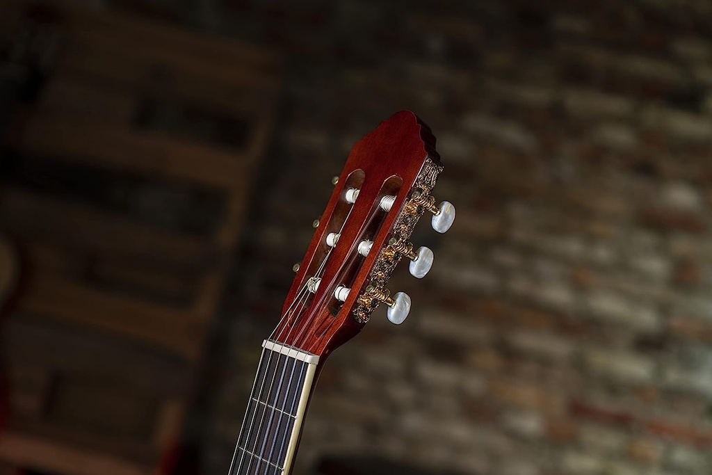 Peavey CNS-2 Classical Nylon String Guitar