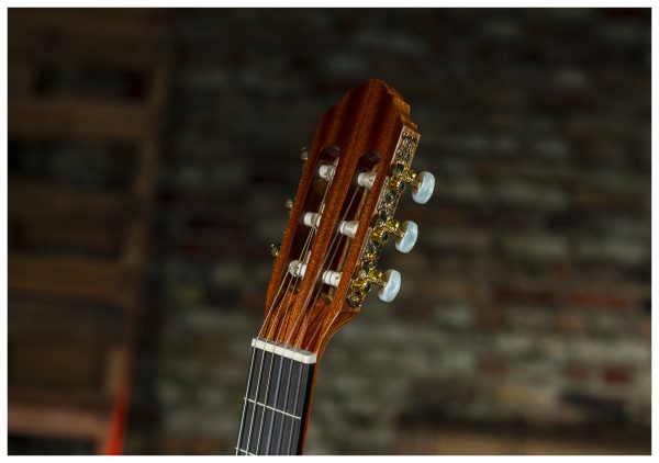 Peavey CNS-1 Classical Nylon String Guitar