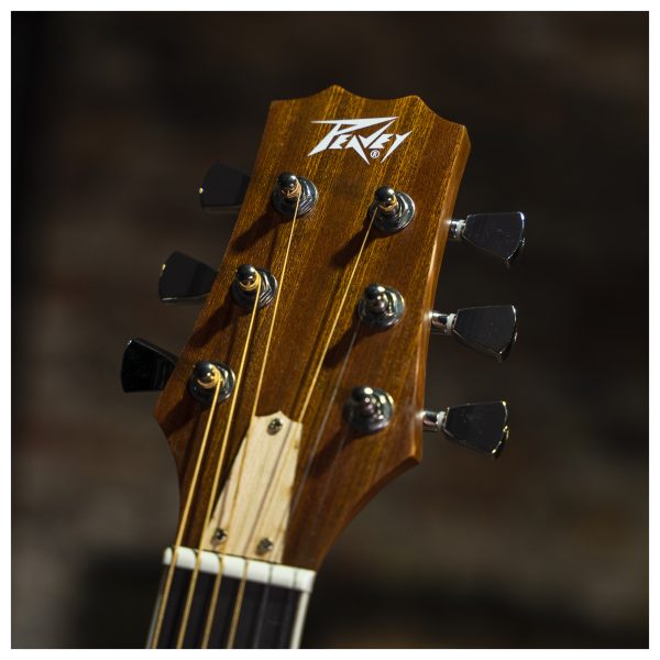 Peavey Delta Woods™ DW-2 CE™ Solid Top Cutaway Acoustic-Electric Guitar with Electronics