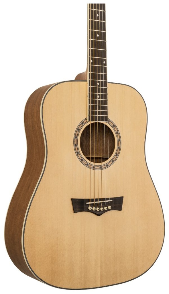 Peavey Delta Woods Dreadnaught Acoustic with Bag