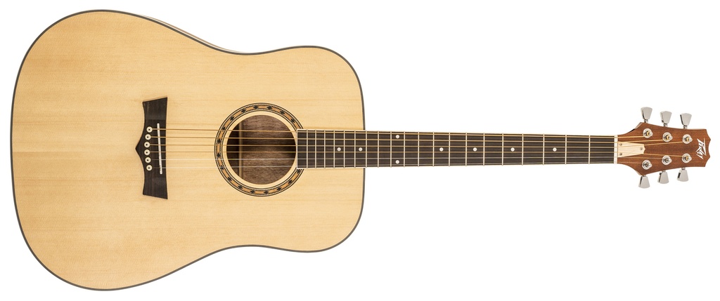 Peavey Delta Woods Dreadnaught Acoustic with Bag