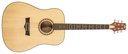 Peavey Delta Woods Dreadnaught Acoustic with Bag