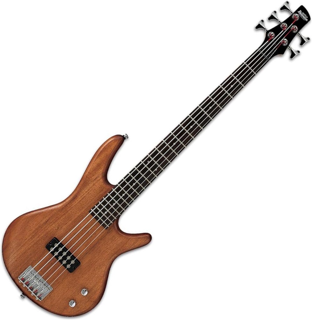 Ibanez GSR105EXMOL 5-string Bass Guitar - Natural