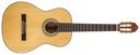 Peavey CNS-1 Classical Nylon String Guitar