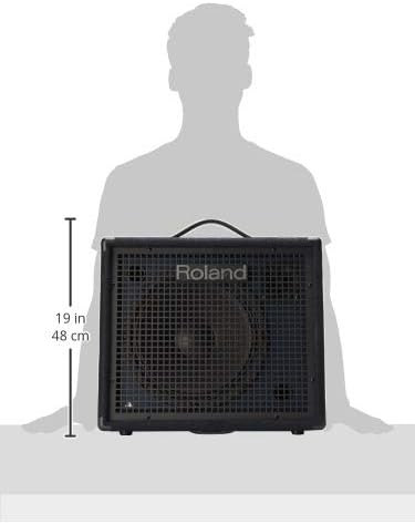 Roland KC-200 100W, 4-channel Keyboard Amplifier
