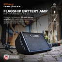 Roland Cube Street EX Battery-Powered Stereo Amplifier w/ onboard mixer