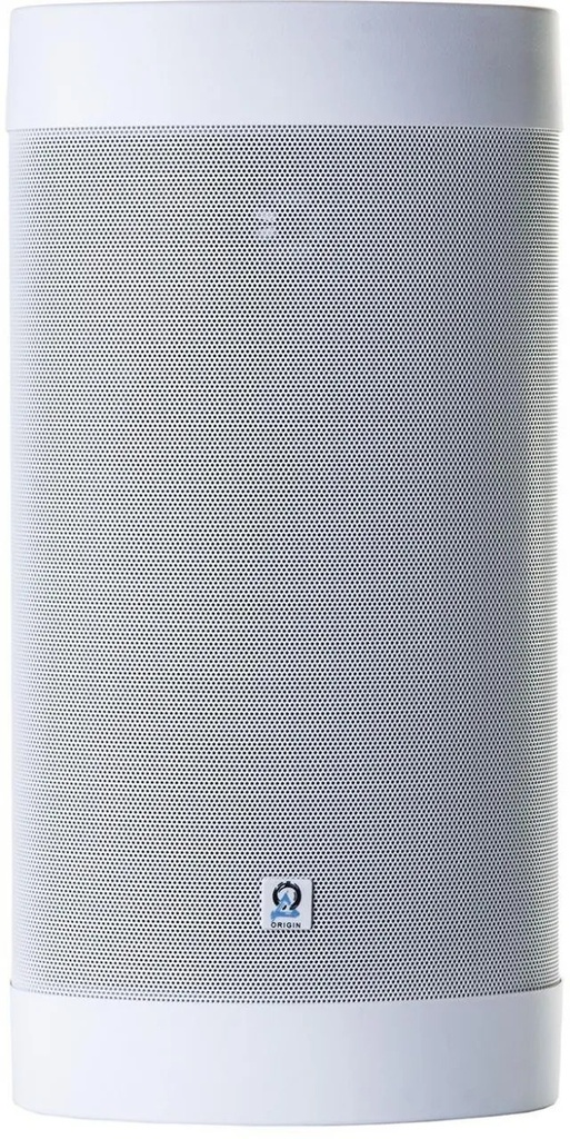 Origin Outdoor Surface Mount 2-Way Speaker (White) w/ Injection Molded Graphite 4" x 8" Woofer