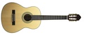 Peavey Delta Woods CNS 3/4 Classical Nylon String Guitar