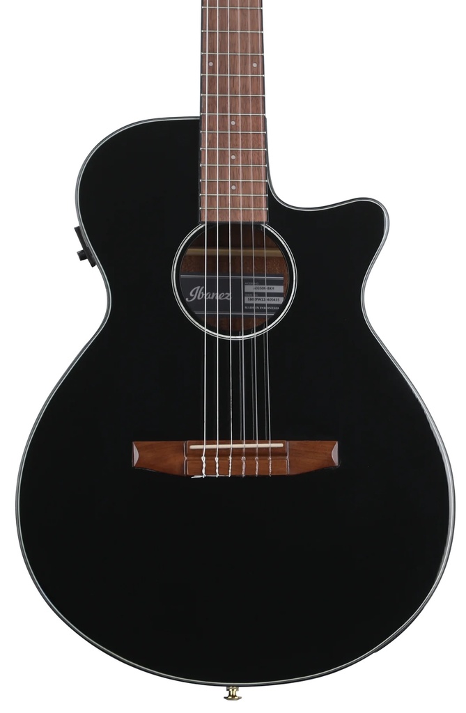 Ibanez AEG50NBKH Acoustic-Electric Guitar (Black, High Gloss)