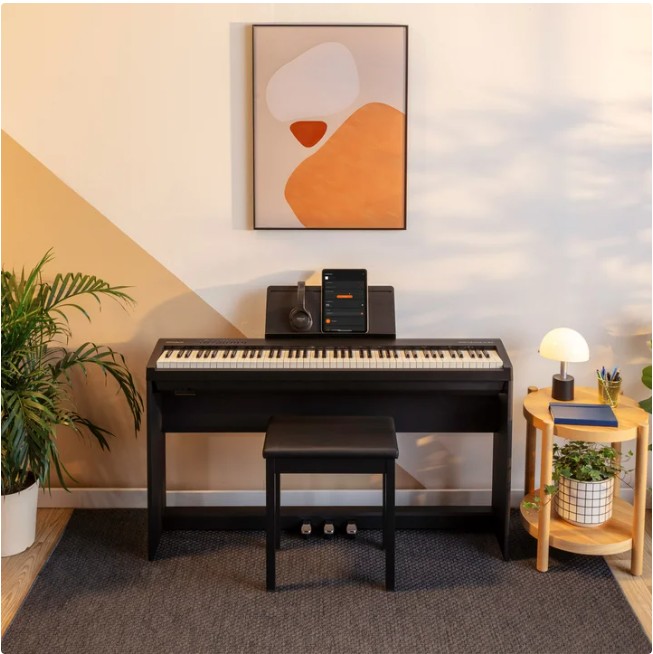 Roland FRP-NUVOLA 88-Key Digital Piano Bundle (Black)