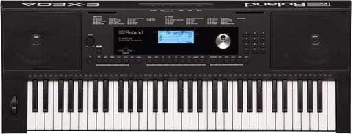 [E-X20A] Roland E-X20A 61-Key Arranger Keyboard with Velocity, 10-Song Recording