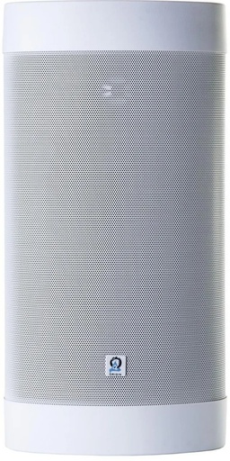 [OS65DT] Origin OS65DT 4x8” Stereo Outdoor Speaker (Each)